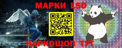 прущие грибы Обнинск