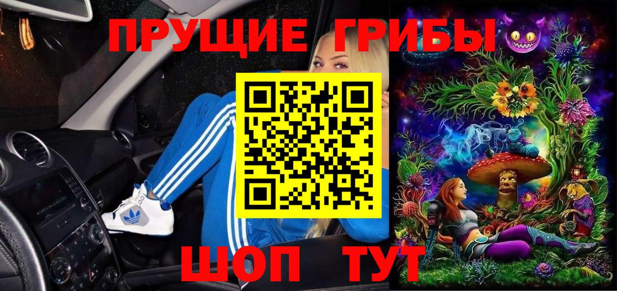 Сочи  Псилоцибиновые грибы Psilocybe  Вход с VPN 